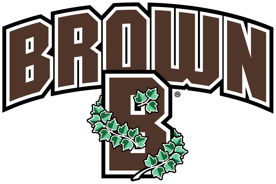 Brown Bears 2018-Pres Secondary Logo iron on transfers for clothing